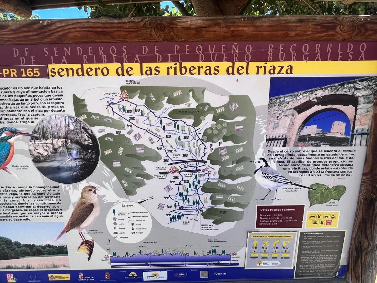 Casa Marite Vivienda De Uso Turistico Villa Campillo de Aranda Eksteriør billede